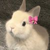 yanndhry_