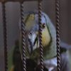 QualityMovieScenes