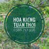 hoakieng_tuanthoi