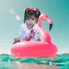 laz._20