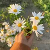 na.kurnia_na