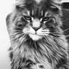 _diziler_72
