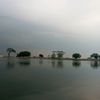 santri.kalong39