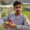 basharat.niazi0