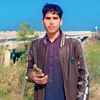 mianhamid513