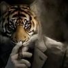 shks_hoka