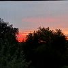 kyell.reinecke