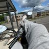 stolt_araber63