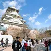 toingaymai