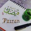 faizanali8330
