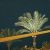 arwamohammed20130