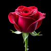 ahmedm__official