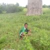 abelay456