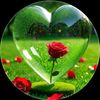 md.ashraful.islam9177