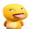 pucutii._02