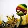 HempCreation❌✝️✝️✝️