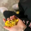 tyu_6578