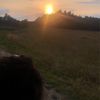 polse_marmelade