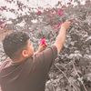 yousifibrahim978
