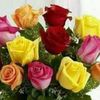 mlasfar27___