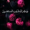 mohamedelharbe
