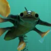 tonowari.co.uk