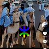 mohamedtargu2