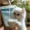 love782131
