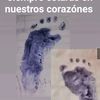 yaleidys.veloza