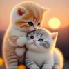 kitty2565_