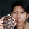 saputrakura