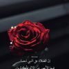 user91795157186797