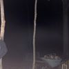 baylenlevinestuff0