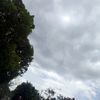 ular.berkepala5