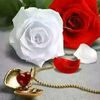 user99361713342794