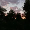morchueva_