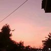 dellw._085