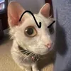 zaiivanh