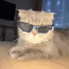 ._yaya_2