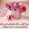user8595343372024