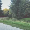 bente_sdlrx