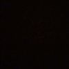 farida92885