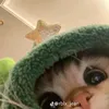 itzmeyoursungitgirl