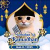 awang_7zy