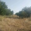 life_ofnature