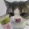 latte.zz775