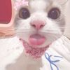 matcha_4_ever_0