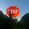 stelee_7