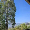 wollonew.hager5