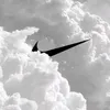 mhcn000
